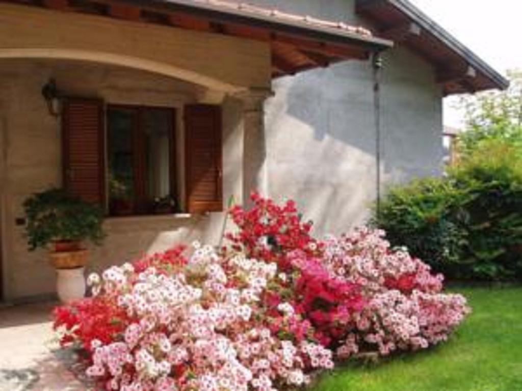 Alla Camelia B&B Brunello Bagian luar foto